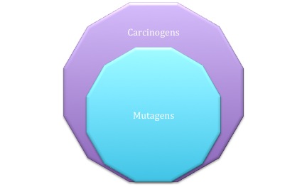 What is the difference between a mutagen and a carcinogen?